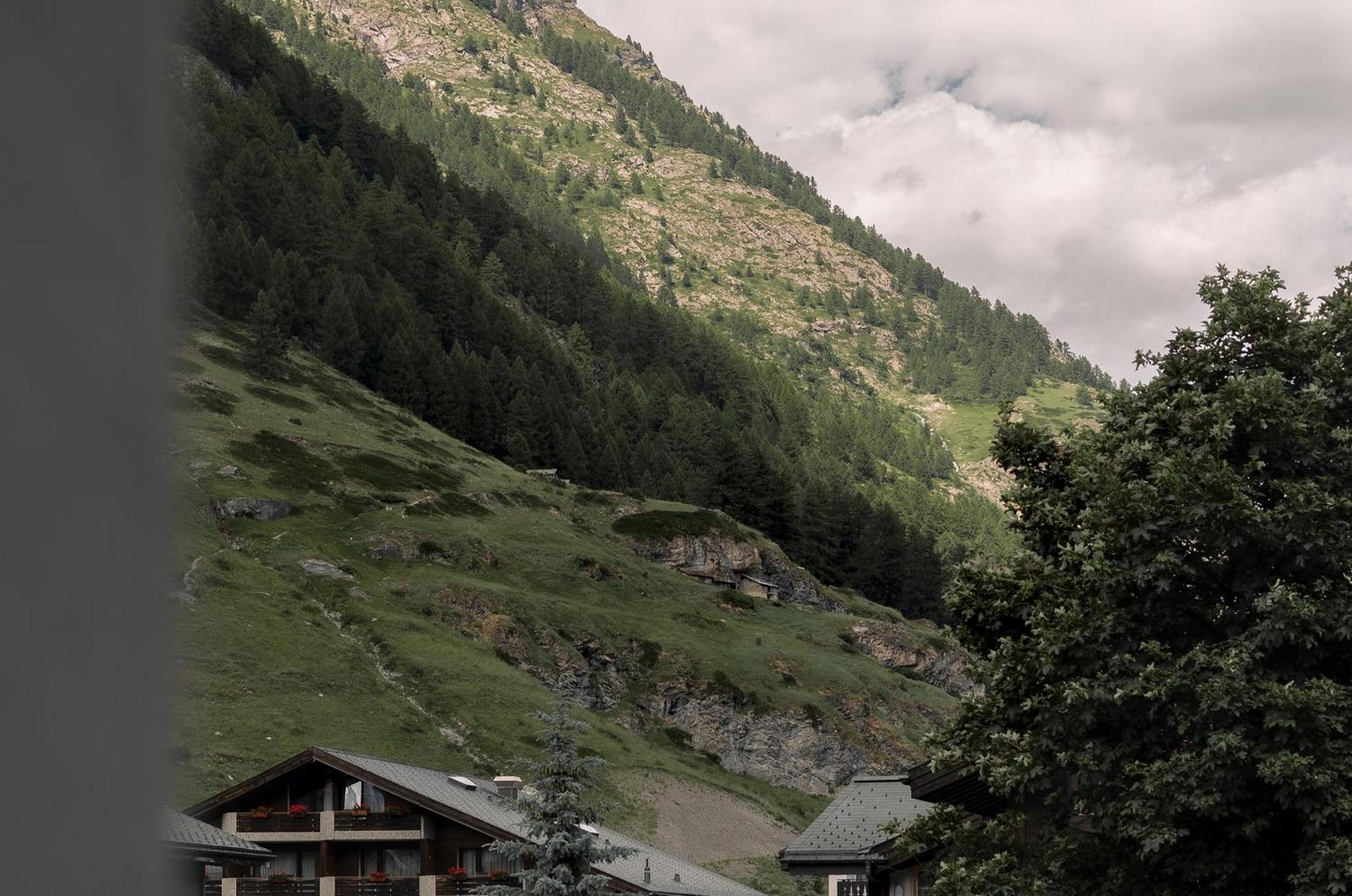 Schloss Zermatt - Cbd & Adaptogenic Spa And Sport Hotel Exterior photo
